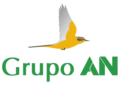 GrupoAN_logo